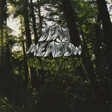 Dead Meadow - "Old Growth" 2LP Colored