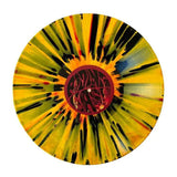 Early Moods - "A Sinner's Past" LP