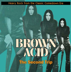 Brown Acid - "The Second Trip" LP