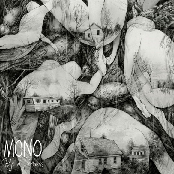 Mono - 